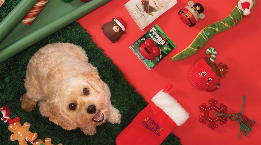 We.pet christmas website banner wide.jpeg